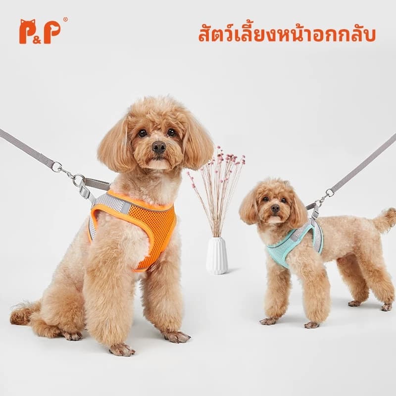 P&P เสื้อรัดอกสุนัขและแมว พร้อมสายจูง สะท้อนแสง สวมใส่ง่าย